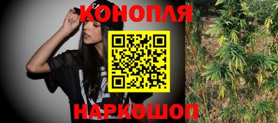 шишки Камышлов