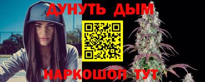 шишки Камышлов