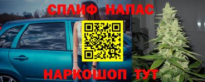 PSILOCYBIN Канаш