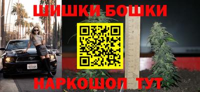 шишки Камышлов