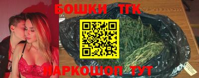 шишки Камышлов