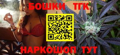 шишки Камышлов